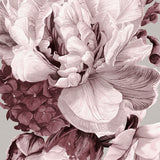 Pivoine VII Small (465mm W x 560mm H) / Standard Clear Glass