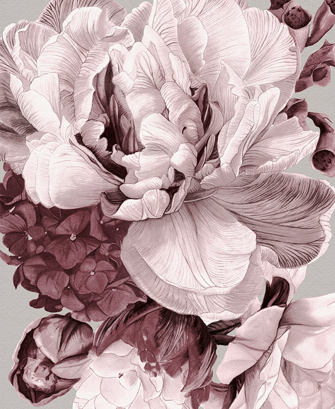 Pivoine VII