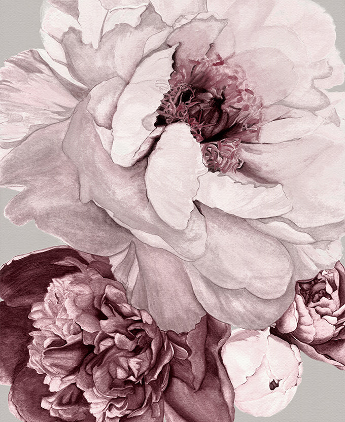 Pivoine VIII (Canvas)