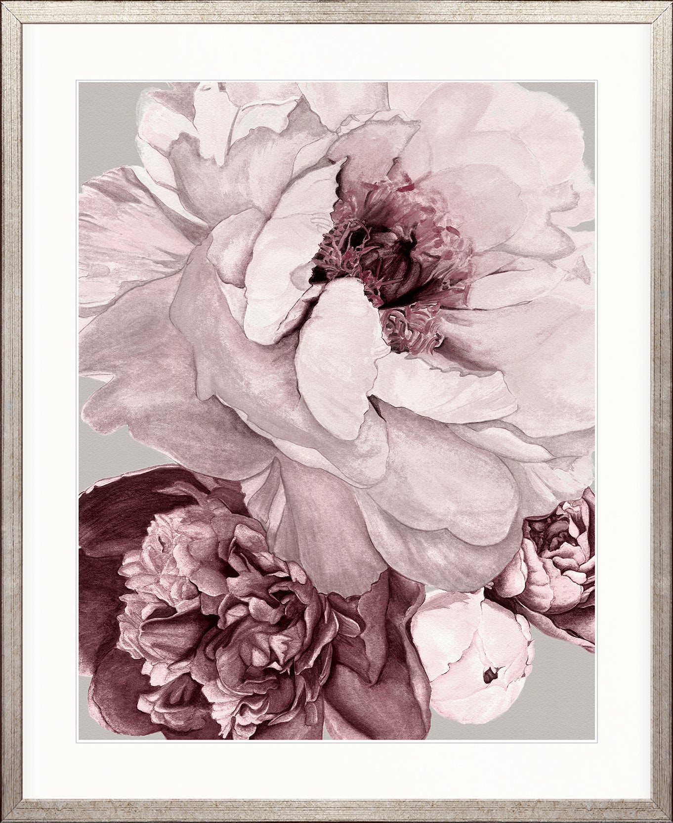 Pivoine VIII