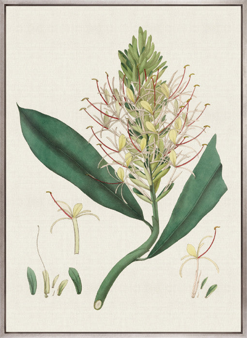 Exotic Garden I (Canvas)