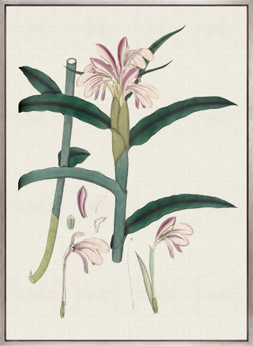 Exotic Garden III (Canvas)