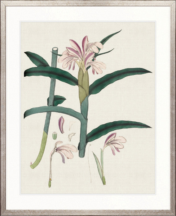 Exotic Garden III