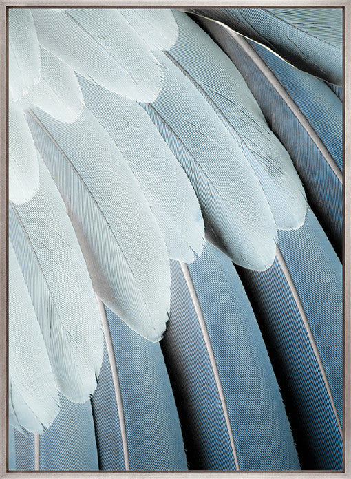 La Plume I (Canvas)