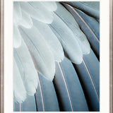 La Plume I