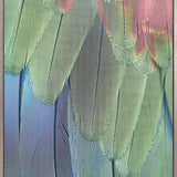 La Plume II (Canvas)