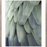 La Plume III