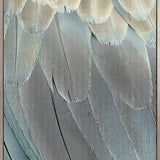 La Plume IV (Canvas)