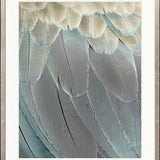 La Plume IV