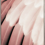 La Plume V (Canvas)