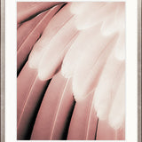 La Plume V