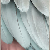 La Plume VI (Canvas)