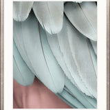 La Plume VI