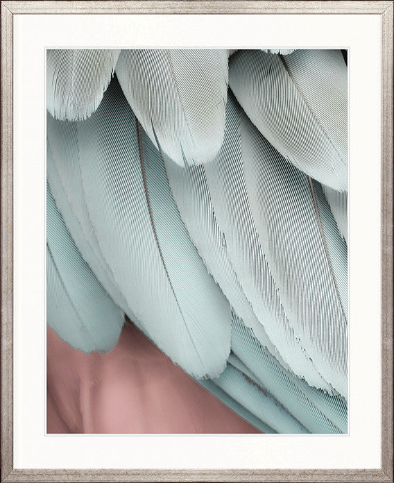 La Plume VI