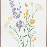 Pressed Wildflowers I (Canvas) Large (903mm W x 1109mm H)
