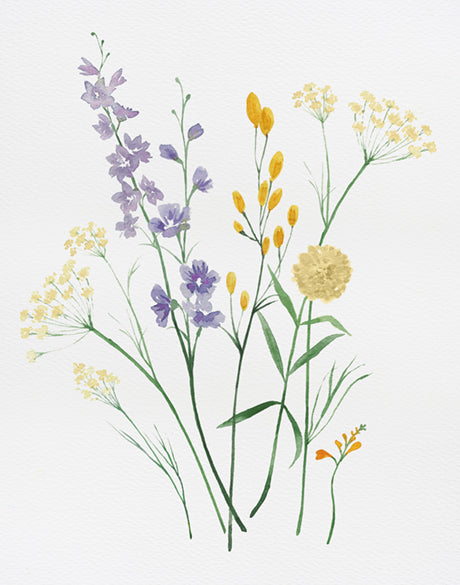 Pressed Wildflowers I (Canvas)