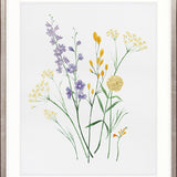 Pressed Wildflowers I
