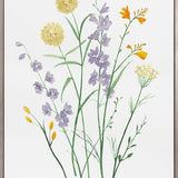 Pressed Wildflowers II (Canvas) Large (903mm W x 1109mm H)