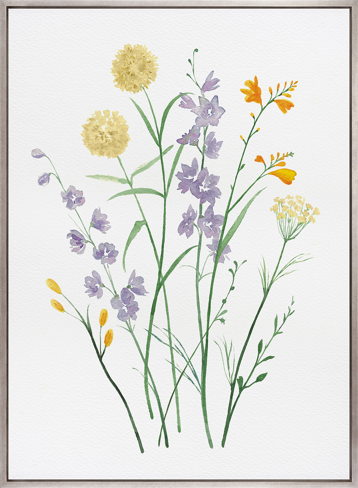 Pressed Wildflowers II (Canvas)