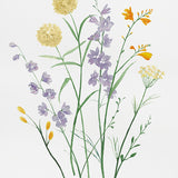 Pressed Wildflowers II (Canvas) Large (903mm W x 1109mm H)