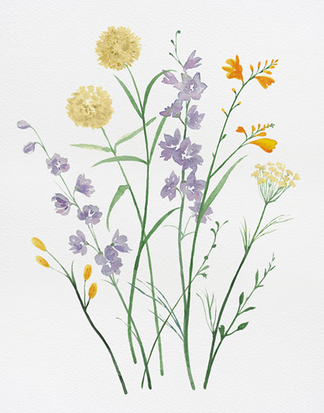 Pressed Wildflowers II (Canvas)