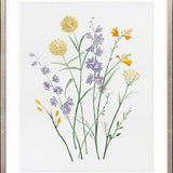 Pressed Wildflowers II