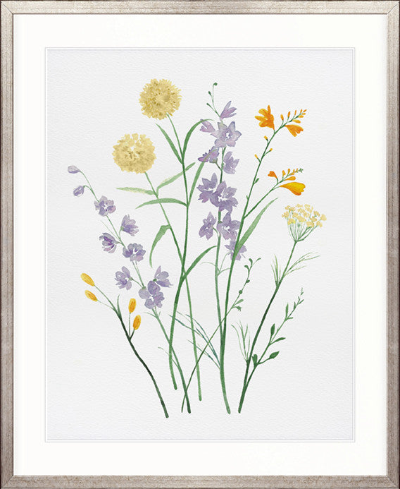 Pressed Wildflowers II