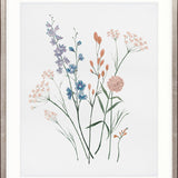 Pressed Wildflowers III