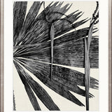 Asiatic Palm I