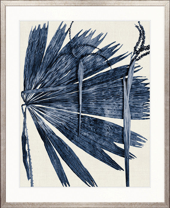 Asiatic Palm III
