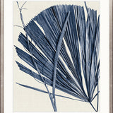 Asiatic Palm IV