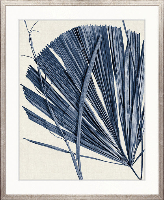 Asiatic Palm IV
