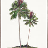 Regal Canopy I (Canvas) Large (903mm W x 1109mm H)