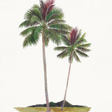 Regal Canopy I (Canvas) Large (903mm W x 1109mm H)