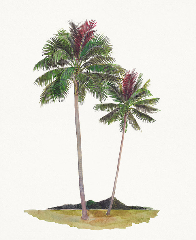 Regal Canopy I (Canvas)