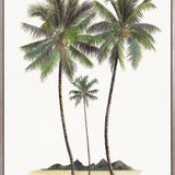 Regal Canopy II (Canvas) Large (903mm W x 1109mm H)