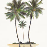 Regal Canopy II (Canvas) Large (903mm W x 1109mm H)