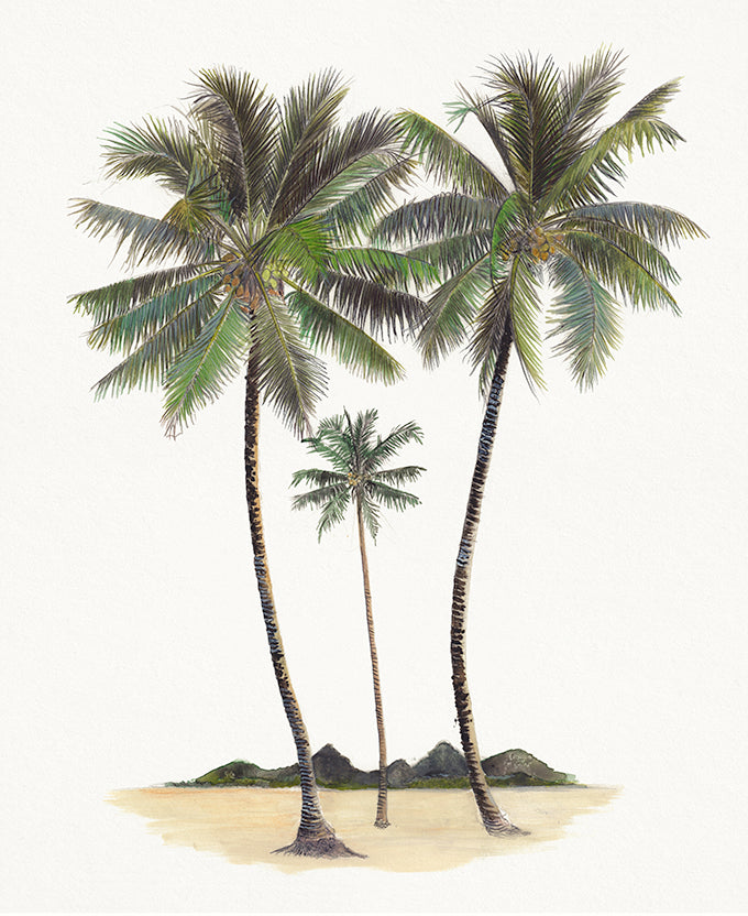 Regal Canopy II (Canvas)