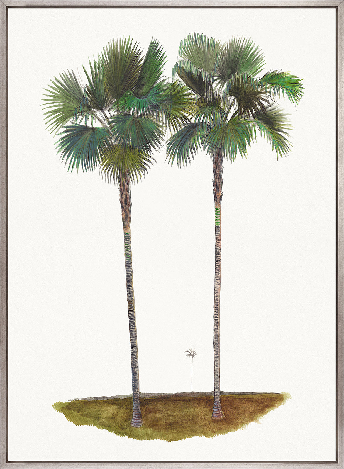 Regal Canopy III (Canvas)