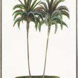 Regal Canopy V (Canvas) Large (903mm W x 1109mm H)