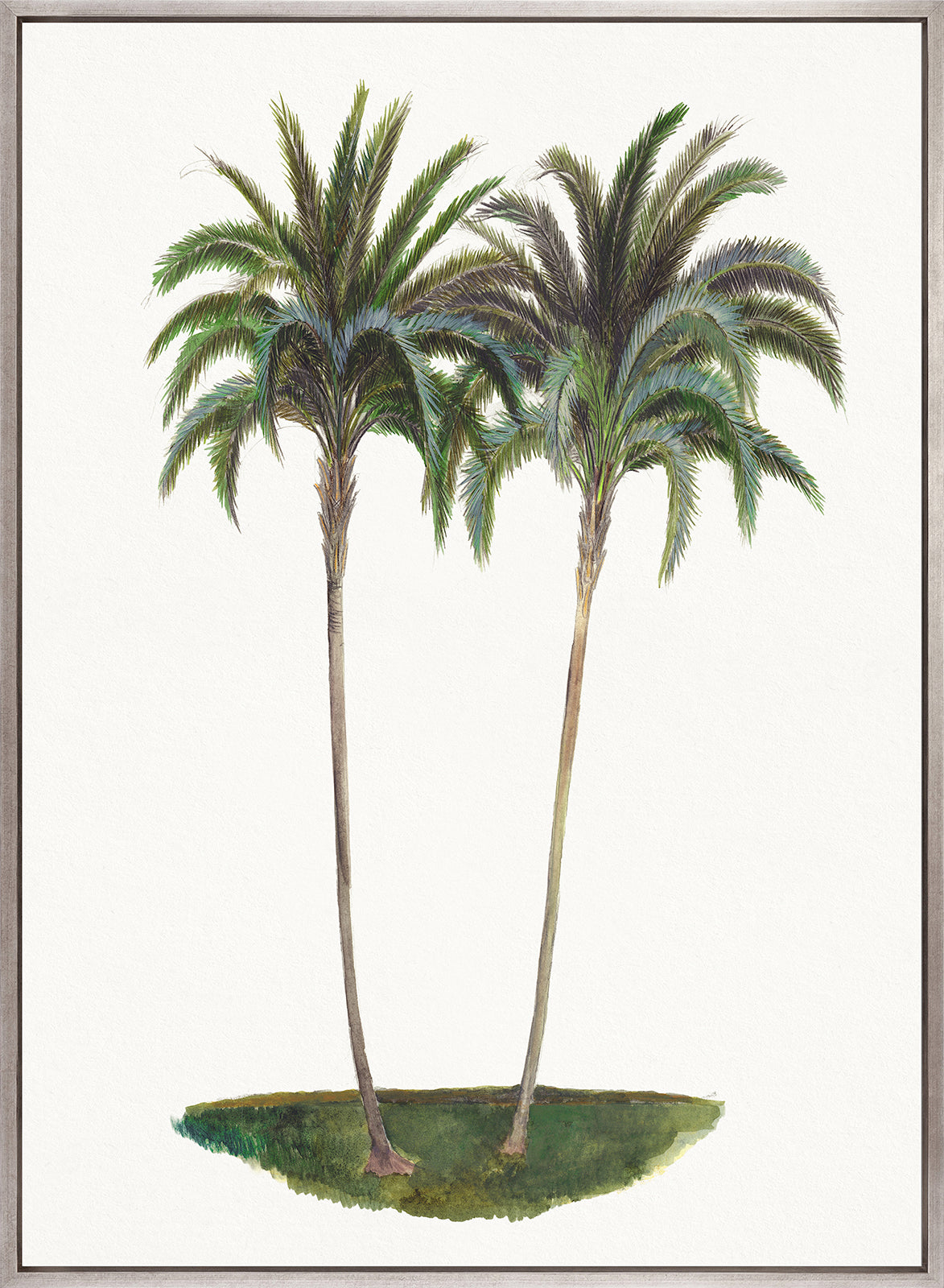 Regal Canopy V (Canvas)