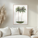 Regal Canopy V (Canvas) Large (903mm W x 1109mm H)