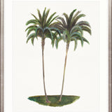 Regal Canopy V Small (465mm W x 560mm H) / Standard Clear Glass