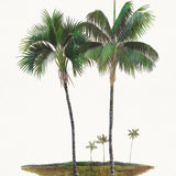Regal Canopy VI (Canvas) Large (903mm W x 1109mm H)