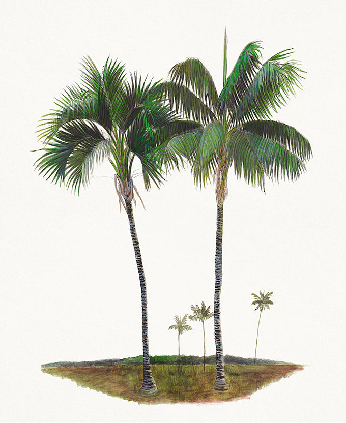 Regal Canopy VI (Canvas)