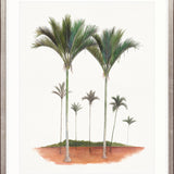Regal Canopy VIII Small (465mm W x 560mm H) / Standard Clear Glass