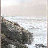 Roco Bay I (Canvas)