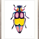 Rosselli Beetle II