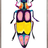 Rosselli Beetle II (Canvas)