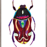 Rosselli Beetle III (Canvas)